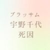 宇野千代の死因は