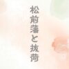 松前藩の抜荷とは？田沼意次との関係も