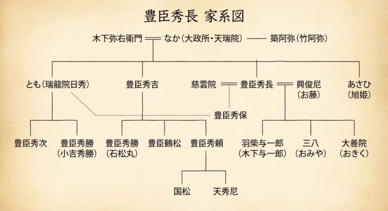 豊臣秀長の家系図