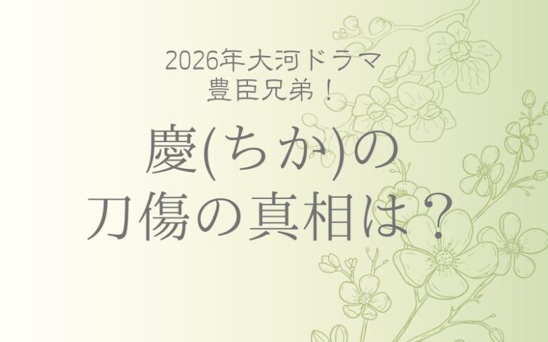 豊臣兄弟!慶(ちか)は今後どうなる?刀傷の真相